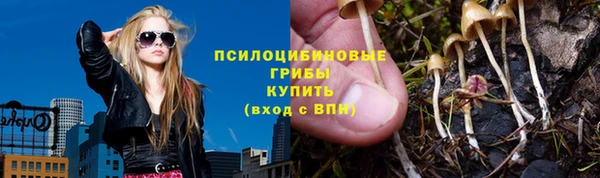 a pvp Вяземский