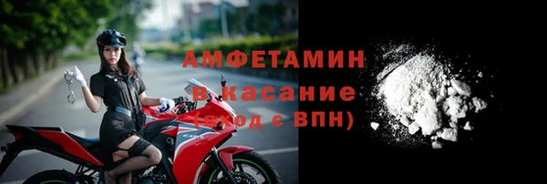 молекула духа Вязьма