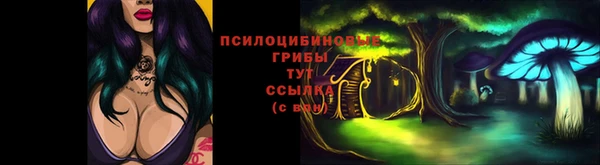 a pvp Вяземский