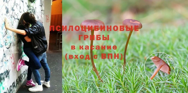 гашишное масло Горняк