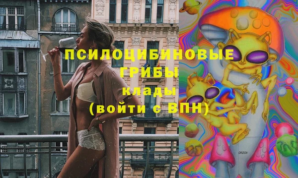 a pvp Вяземский