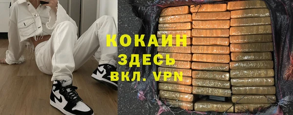 молекула духа Вязьма