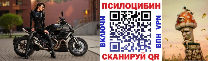 MEGA рабочий сайт  Прокопьевск  Псилоцибиновые грибы Psilocybe  купить наркотик 